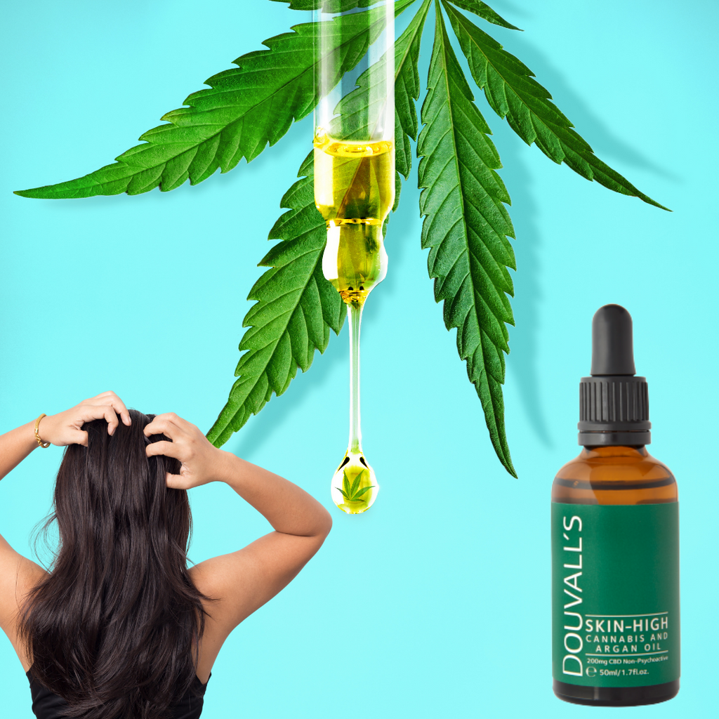 How Does CBD Work on Damaged Hair? By Sierra Herscovitch