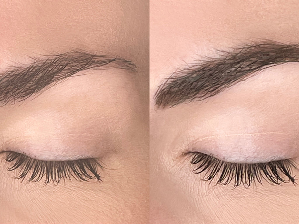 Argan Brow Tinted Growth Serum 8ml | Three shades available PRE-ORDER 10th Nov